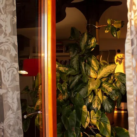Apartamento Moderno E Tranquillo Nel Verde